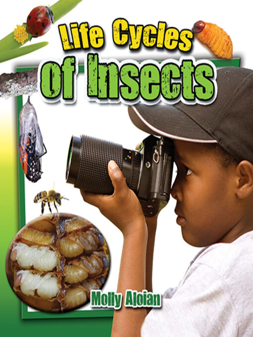 Title details for Life Cycles of Insects by Molly Aloian - Available